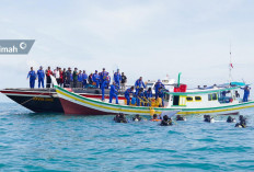 Transplantasi Terumbu Karang, Polairud Babel Gandeng PT Timah