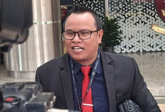  PH PT PMM Tuding Balik Pelaku Penyelundup, Poltak: Jaringan M?