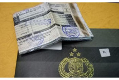 Pemutihan Pajak Kendaraan Terakhir Oktober