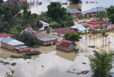 Frekuensi Bencana Alam  di Indonesia Meningkat