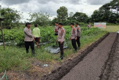 Polres Tinjau Lahan Ketahanan Pangan di Mendo Barat