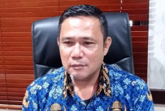 Tipikor Terdakwa Ryan Susanto Belinyu, Eks Kadis ESDM Amir Sahbana Jadi Saksi Daring