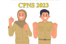 Begini Contoh Surat Lamaran CPNS, Perhatikan Format dan Penulisannya