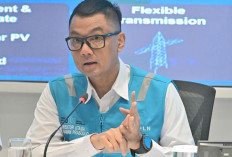  PLN Pastikan Kesiapan Infrastruktur dan Layanan Kelistrikan Selama Nataru