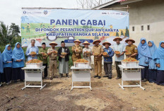 BI dan TPID Babel Kembali Panen Cabai Rawit