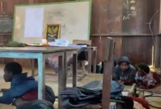 TNI-KKB Tembak-Menembak, Siswa dan Guru Meringkuk di Kelas Ketakutan