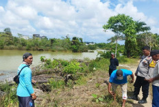 Buaya Kolong Serang Warga Sekar Biru