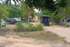 Dugaan Jejak Komunikasi Penyelundupan ke Malaysia,  Bareskrim Polri Geledah Kediaman Bos Toboali.