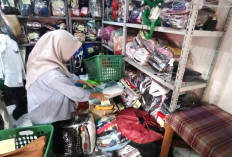 Realisasi Penyaluran KUR Babel Capai Rp 1,125 Triliun