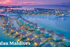 Pesona Maldives Dengan Ke-Islaman-nya, Negara Tujuan Terkemuka Dunia