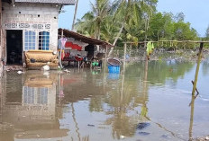 Banjir Rob Masih Terus Mengintai, Waspada Pesisir Babe