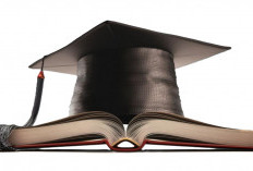 Program Magang Pemerintah Fresh Graduate, Dibuka 15 Oktober Lewat SIAPkerja