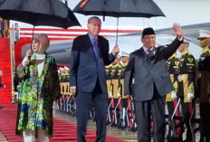 Keren! Prabowo Hujan-hujanan Sambut Erdogan 