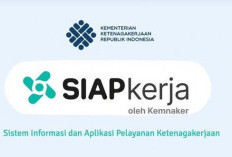 Magang Nasional Digaji Pemerintah