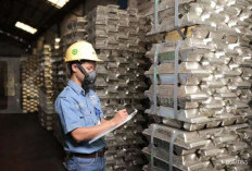 Pemprov Bahas Tambang Timah dan BBM Bersubsidi