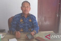 Kembangkan Budidaya Padi Organik di Lahan 23 Hektar