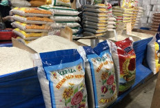 Awas! Beras Premium Oplosan