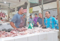 Bupati Bateng Cek Stok & Harga Sembako di Pasar Koba
