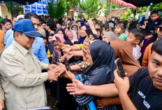 Prabowo Progres Pemulihan Bencana