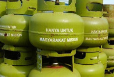 Oplos Gas Subsidi ke Non Subsidi, Bahaya!