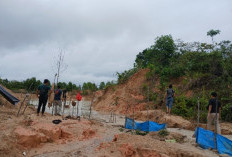 Sawah  Diduga Tercemar Limbah, Petani Rias Khawatir Gagal Panen, Kasat Reskrim : Tidak Ada Aktivitas Tambang