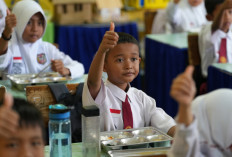 Realisasi Anggaran MBG Mencapai Rp 60 Triliun