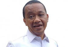  Wacana Stop Eksport Timah Mencuat Lagi! 