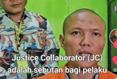  Kasus 'Tanam Pisang Tumbuh Sawit', Ricky Lapor ke Prabowo