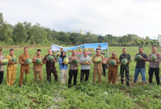 Polres Bangka Barat Sulap Lahan Kritis jadi Produktif