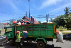 Jasa Angkutan Sampah Minimalisir Sampah & Peningkatan PAD