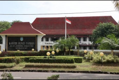 BKPSDMD Ajukan Berkas 2.835 Honorer jadi PPPK Paruh Waktu