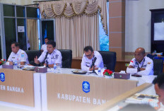 Bupati Fery Insani Bersama APDESI Bahas Peningkatan PBB