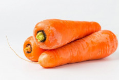 Memiliki Mata yang Sehat itu Penting, Ini 6 Makanan yang Bisa Bikin Mata Sehat 