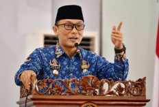  BKN: PNS, PPPK & PW Setara!