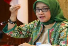  Dalam Seleksi PPPK 2024, Dua Kategori Honorer Aman