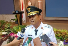Bupati Fery Janji Berdayakan 900 Honorer Non Database