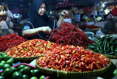 Harga Pangan Bergejolak, Cabai Rawit Tembus Rp 75 Ribu per Kg