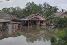 Lingkungan Air Hanyut & Pesisir Sungailiat Terendam Banjir