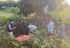 Sempat Hilang di Kebun Sawit Ridingpanjang, Lansia Ditemukan MD