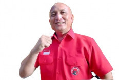  Soal jago PDIP Menang di Pilkada Ulang, Didit: Amankan C1!