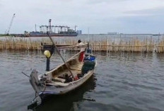 Walhi Minta Pemerintah Bongkar Pagar Laut di Tangerang