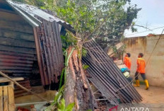 BPBD Minta Masyarakat Bangka Belitung Waspada Angin Kencang