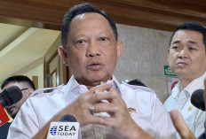  Rame OTT Kepala Daerah, Tito: Bukan Anak Kecil!