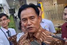 'Jeruk Makan Jeruk' Kasus Febrie, Yusril: KPK Bisa Ambil Alih 