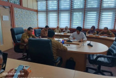 Pemkot Percepat Legalitas Produk Olahan Nanas Tuatunu