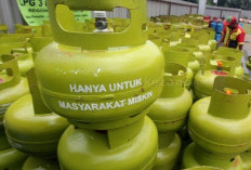 Kebijakan Baru Distribusi LPG 3 Kg, Siapa Saja yang Berhak?