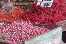 Stok Bawang dan Cabai di Babel Cukup