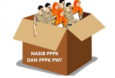 PPPK & PPPPK PW Siap Turun ke Jalan? Isu 'Merumahkan' Bagai Bom Waktu?