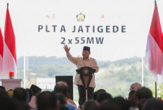 Presiden Resmikan 37 Ketenagalistrikan Nasional