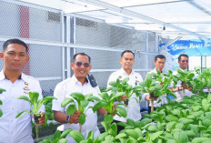 Capaian Kinerja 2025 Lapastik Berdampak Nyata